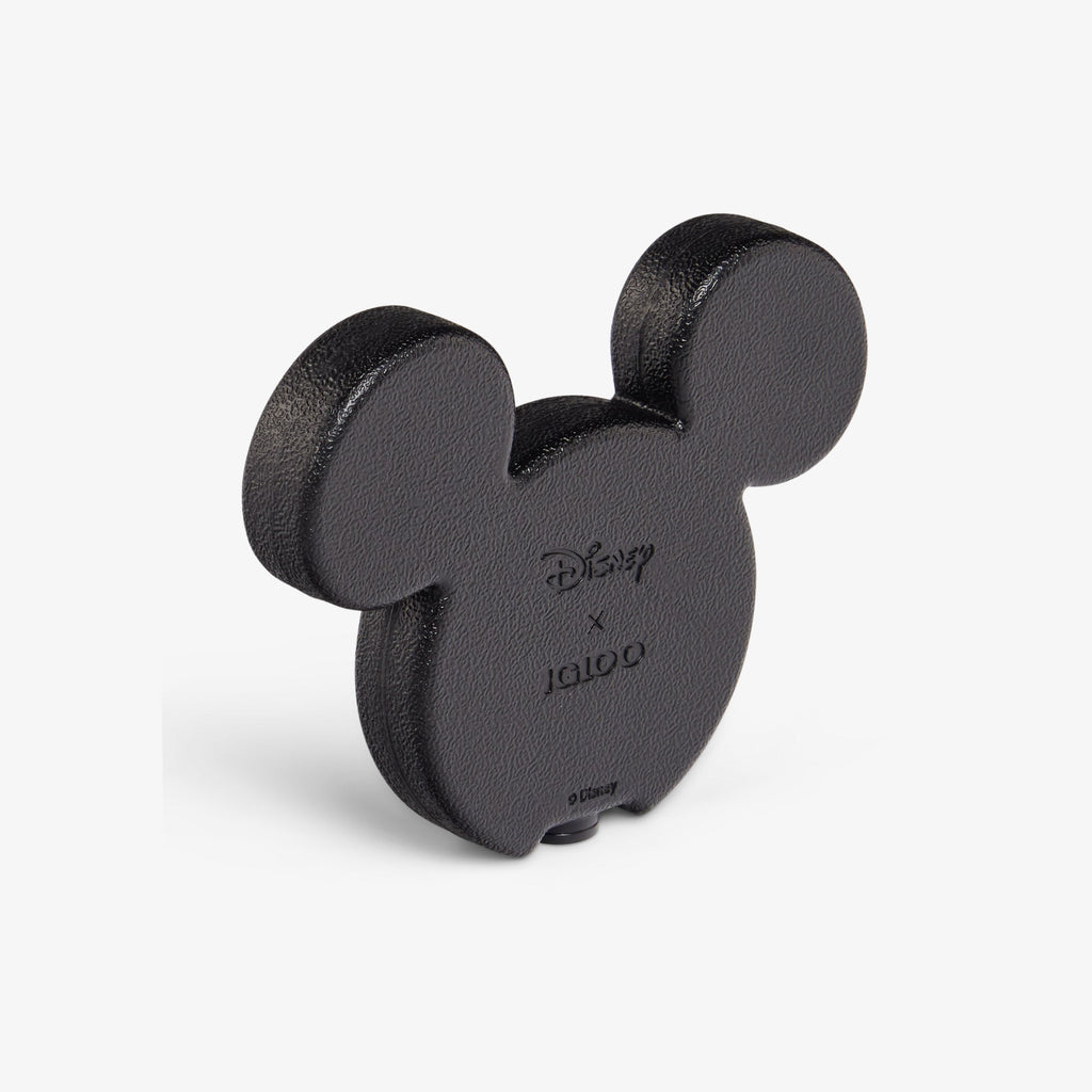 Disney Mickey Mouse Ice Block 2-Pack I6 - Black - Product View