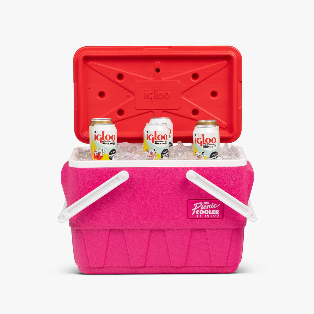Retro Picnic Basket 25 Qt Cooler B2 - Tutti Frutti - Product View